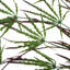 100cm Faux Foliage Plant