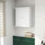 Double Door Bathroom Storage Cabinet-1387479046