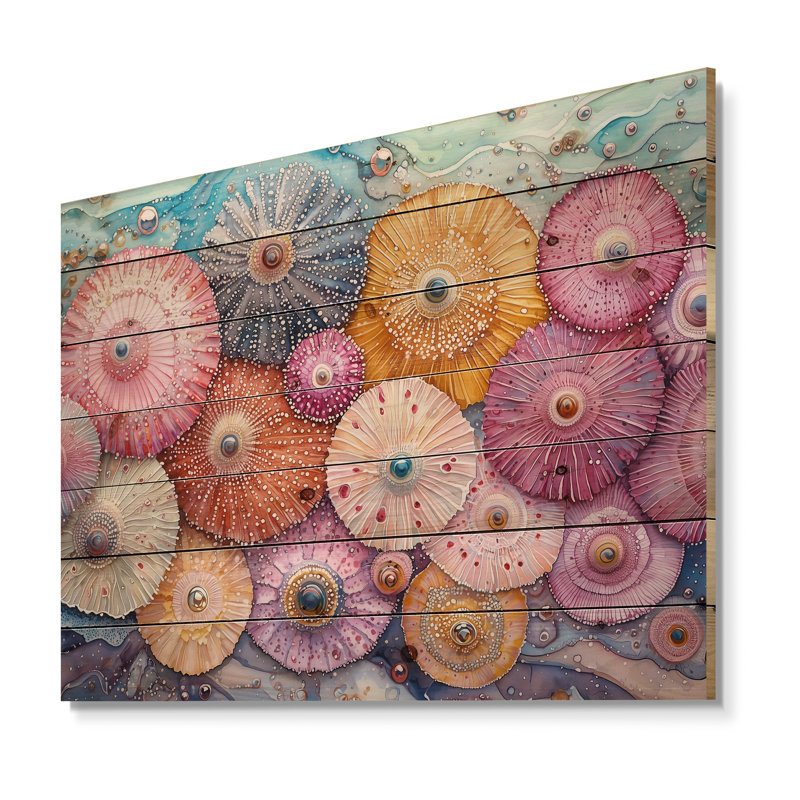 Colorful Sea Urchin In Parade II - Sea Urchin Wood Print - On Natural Pine Wood, 10" H x 20" W x 0.78" D