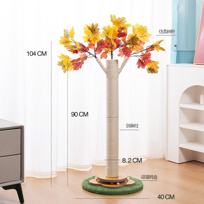 Chat érable grimpant sur un arbre, sisal, feuille d'érable