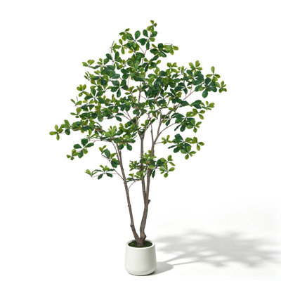 Artificial Eucalyptus Tree with Round White Planter, Pre Potted Fake Eucalyptus Plant with Natural Wood Trunk for Home Decor