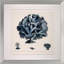 Blue Coral I Print