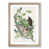 Oak Framed selected