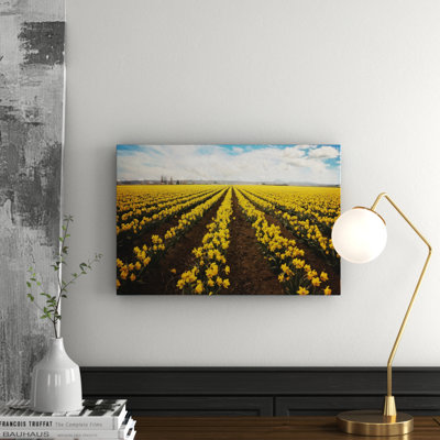 Sylvia Cook - Wrapped Canvas Painting
