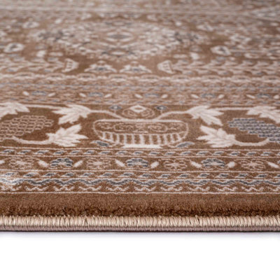 Oriental Indoor / Outdoor Area Rug