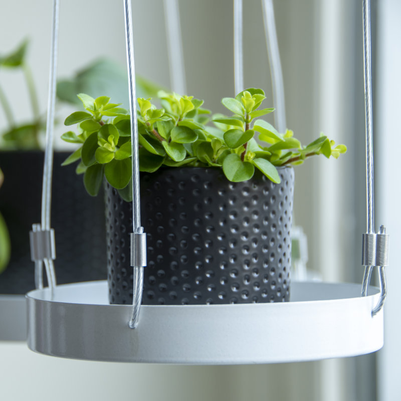 Plant Tray Hanging Round, White, 2.1 H x 14 L x 14cm D