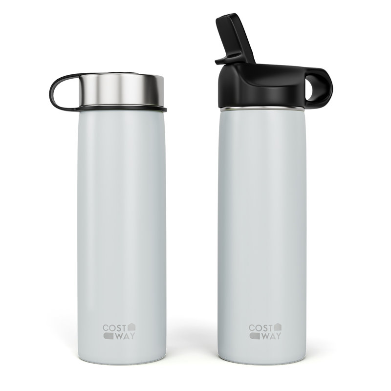 22 oz Bouteille d'eau à double paroi en acier inoxydable avec paille, Gris