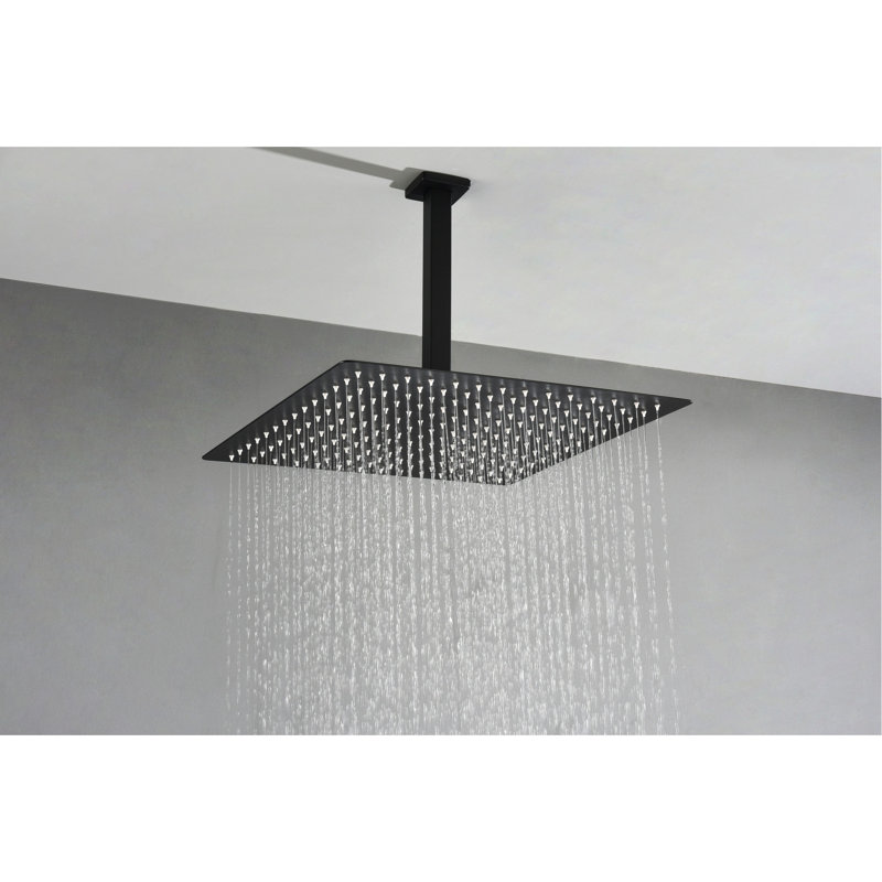 Pomme de douche 16 po Luxury, Noir mat