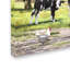 «Fresian Cows Landscape» par Armand, reproduction sur toile-21649297