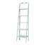 Wormleysburg Ladder Bookcase-1275302135