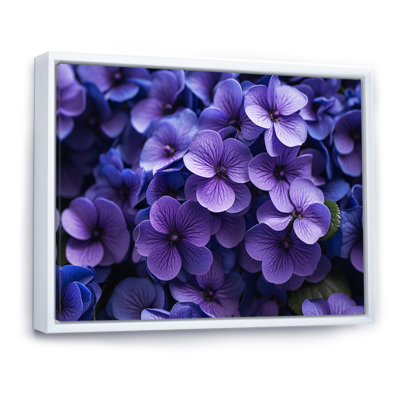 " Violets Whispering Photo IV "