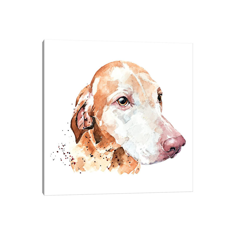 Sugar Face Vizsla by EdsWatercolours - Wrapped Canvas Painting, 30.48 cm H x 30.48 cm W