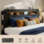 Structure de lit plateforme en bois noir foncé avec tête de lit à DEL avec rangement, deux ports USB, fonctionnement silencieux, aucun sommier requis, outils d'assemblage faciles, grand rangement sous le lit