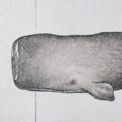 Sperm Whale a Hand Embelished Textured Canvas