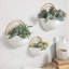 Marotta 3-Piece Iron Wall Planter Set