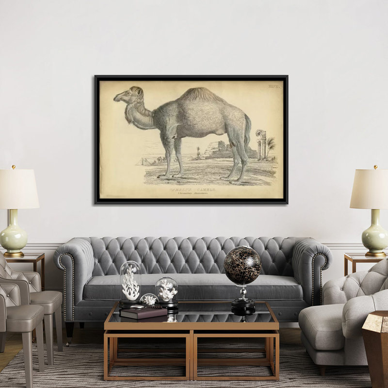 « mixte dromedary », reproduction sur toile, H 18 po x l 26 po x P 1,5 po, Toile avec cadre noir, Pas de tapis