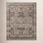 Amber Lewis x Loloi Billie Clay Sage Oriental Rug