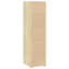 Arah Storage Cabinet-718731060