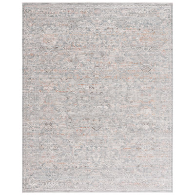 Oriental Area Rug in Gray/Rust