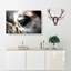Face of a Giraffe - Wrapped Canvas-55317048