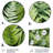 Ferns Enchanting Ferns II Plants & Flowers Wall Decor on Metal