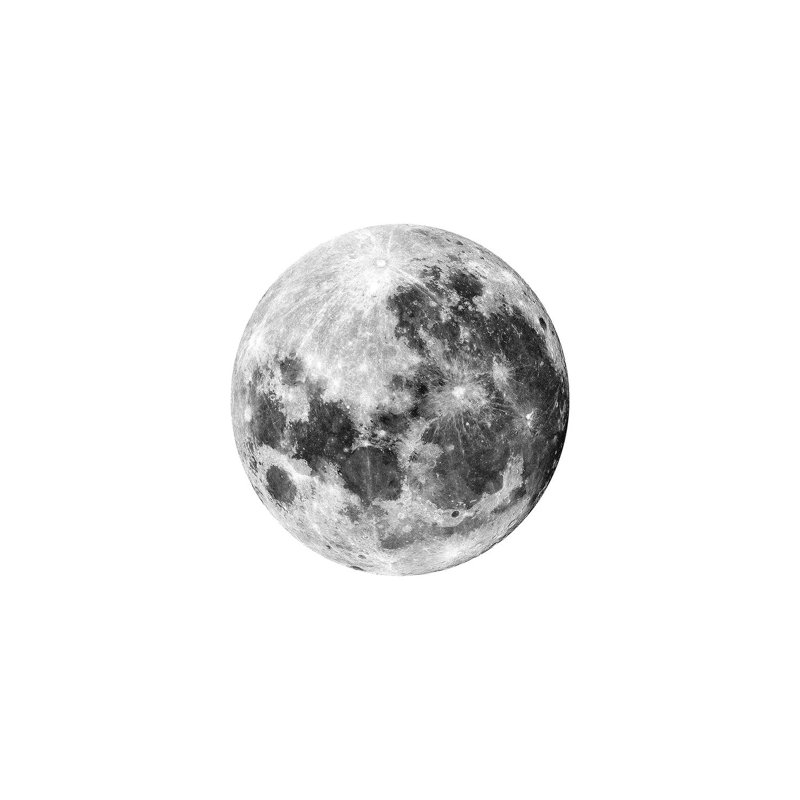Full Moon by Brandon Wong - Wrapped Canvas Print