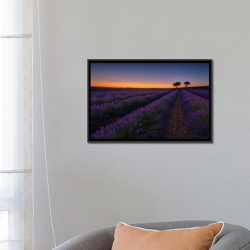 «Lavender Lines», reproduction de photo sur toile, H 18 po x l 26 po x P 1,5 po, Toile avec cadre noir, Pas de tapis
