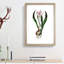 Autumn Crocus Flowers Illustration - Framed Print-55456878-55456879