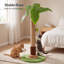 40 cm H Cat Scratchers