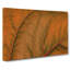 Leaf Veins - Wrapped Canvas-55313645