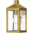 Lantern Head-813800081-813800083