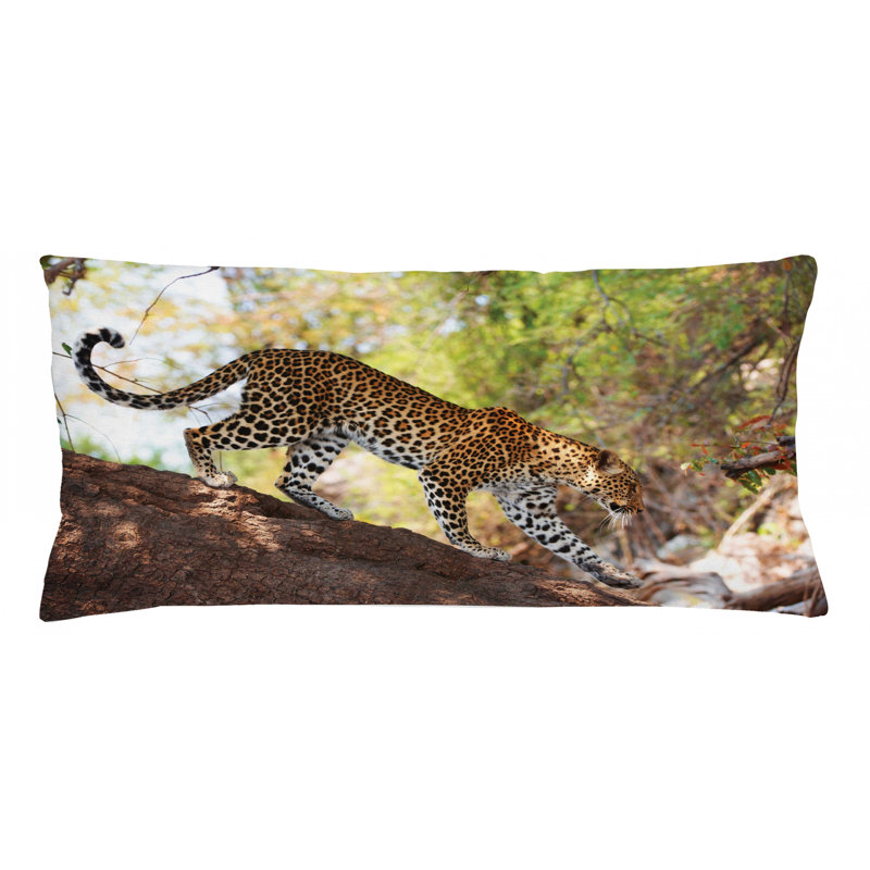 Housse de coussin lombaire intérieur/extérieur zoo, 16 po x 36 po