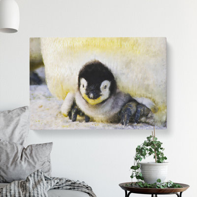 Baby Penguin - Wrapped Canvas Paining - Wrapped Canvas