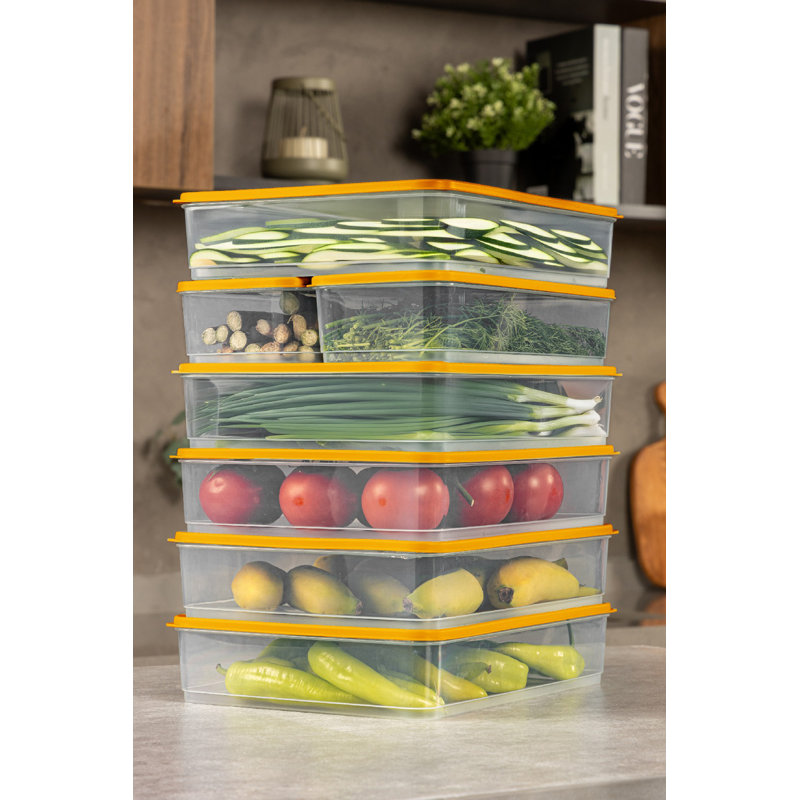 Versatile Storage Box Set (6 Pieces), Orange, 9.1 x 11.6 x 2.6 inches | 100% Plastic, 118.3 fl oz Each | Dishwasher-Safe for Easy Cleaning, Ideal for Organizing Home, Kitchen, Office, and More!