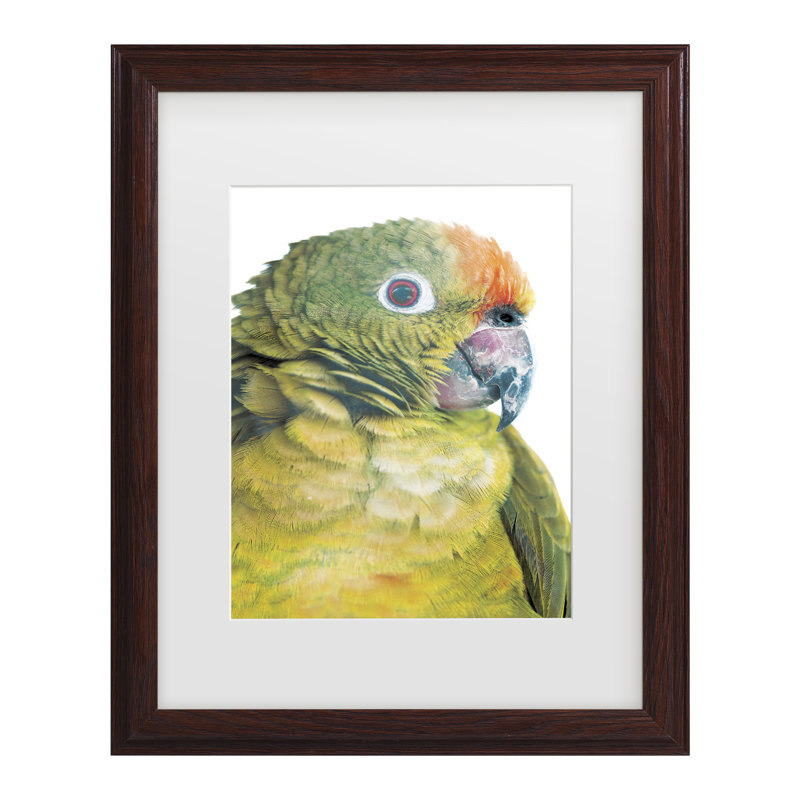 «Shot By Clint Parrot Matted», art encadré, H 13,75 po x l 16,75 po