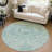 Machine Washable Indoor/Outdoor Chantille ACN2357 Traditional Rug-888574653