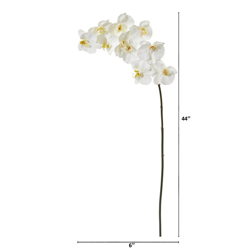 Tige d'orchidée Phalaenopsis, H 42 po x l 6 po x P 1 po