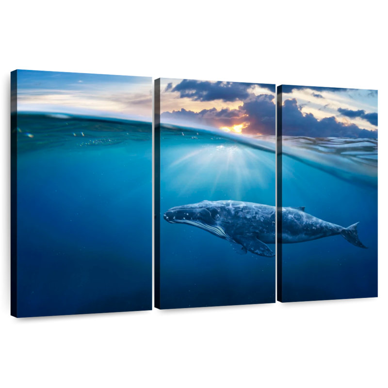Aletra Whale Underwater, 24" H x 38" W
