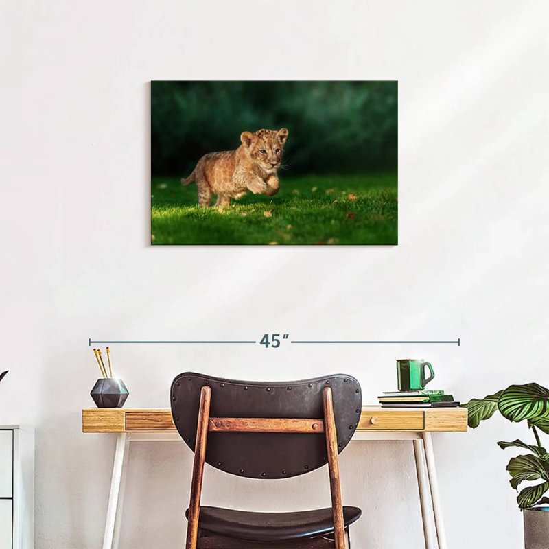 Chat sauvage Brampt, H 20 po x l 30 po