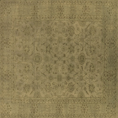 Performance Oriental Indoor Rug