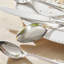 Flatware Set 18/10 Stainless Steel Silverware-501856865