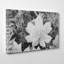 Leaves by Ansel Adams Photographic - Wrapped Canvas-19092776