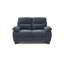 Causeuse moderne bleu-757549898-761138349