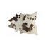 Chocolate/white/Gold