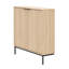 Slim 2-door Storage Console-1154040695