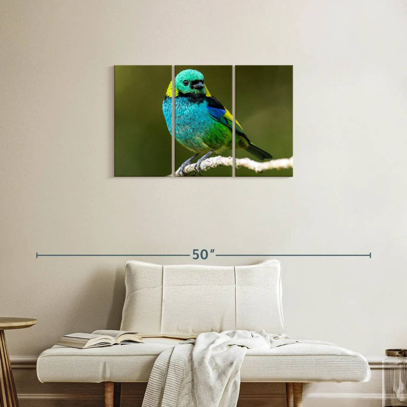 Brampt Green Headed Tanager, 20" H x 33" W