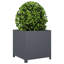 Ashvini Planter Box-501376799-501376786