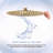10-Inch High Pressure Rainfall Shower Head High Flow Stainless Steel Shower Head-62074669-123244138-123244136