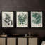 Collectionner Ferns VI - Toile tendue avec châssis sur mesure - 3 pièces-1943549607-1943549601