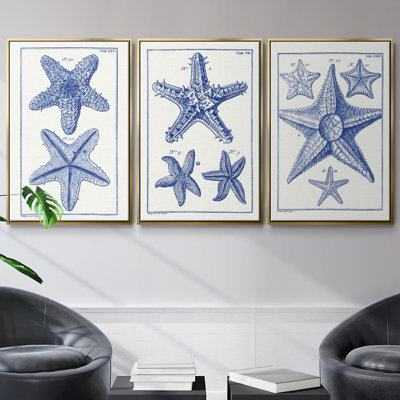 Blue Sea Stars IV - ensemble de 3 reproductions de photos sur toile